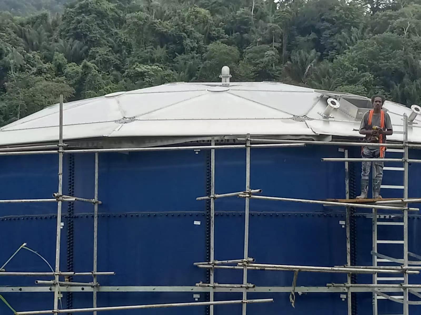 帶頂部安裝儲氣罐的搪玻璃鋼罐，用於沼氣和廢水處理